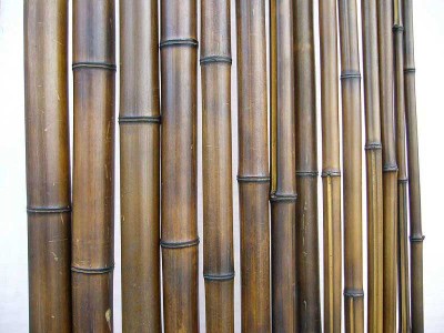 Бамбуковый ствол (шоколадный) D 80-90мм.